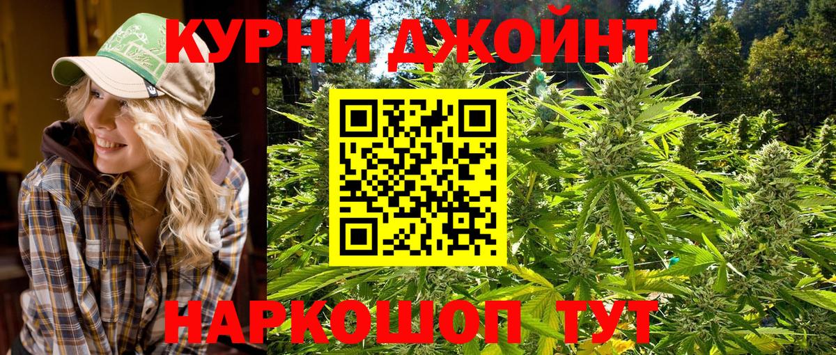 Курчатов  Канабис планчик  Вход с VPN  Шишки марихуана OG Kush 
